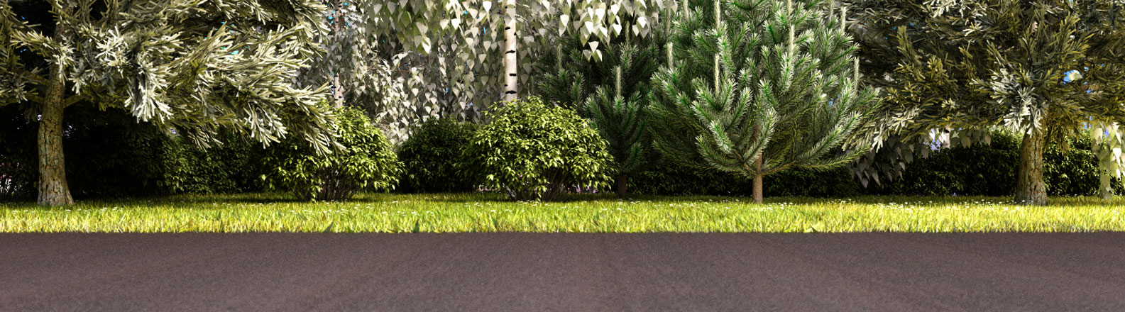 Socknroll_Wald_04_Alin